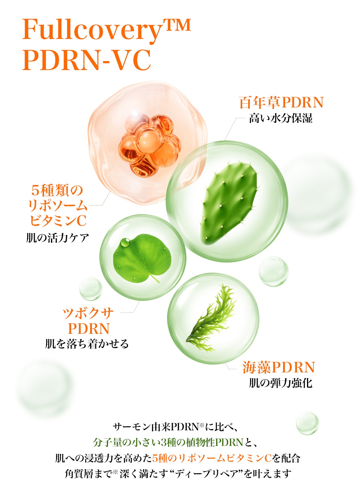 <新作> PDRNビタペプチド毛穴リペアセラム