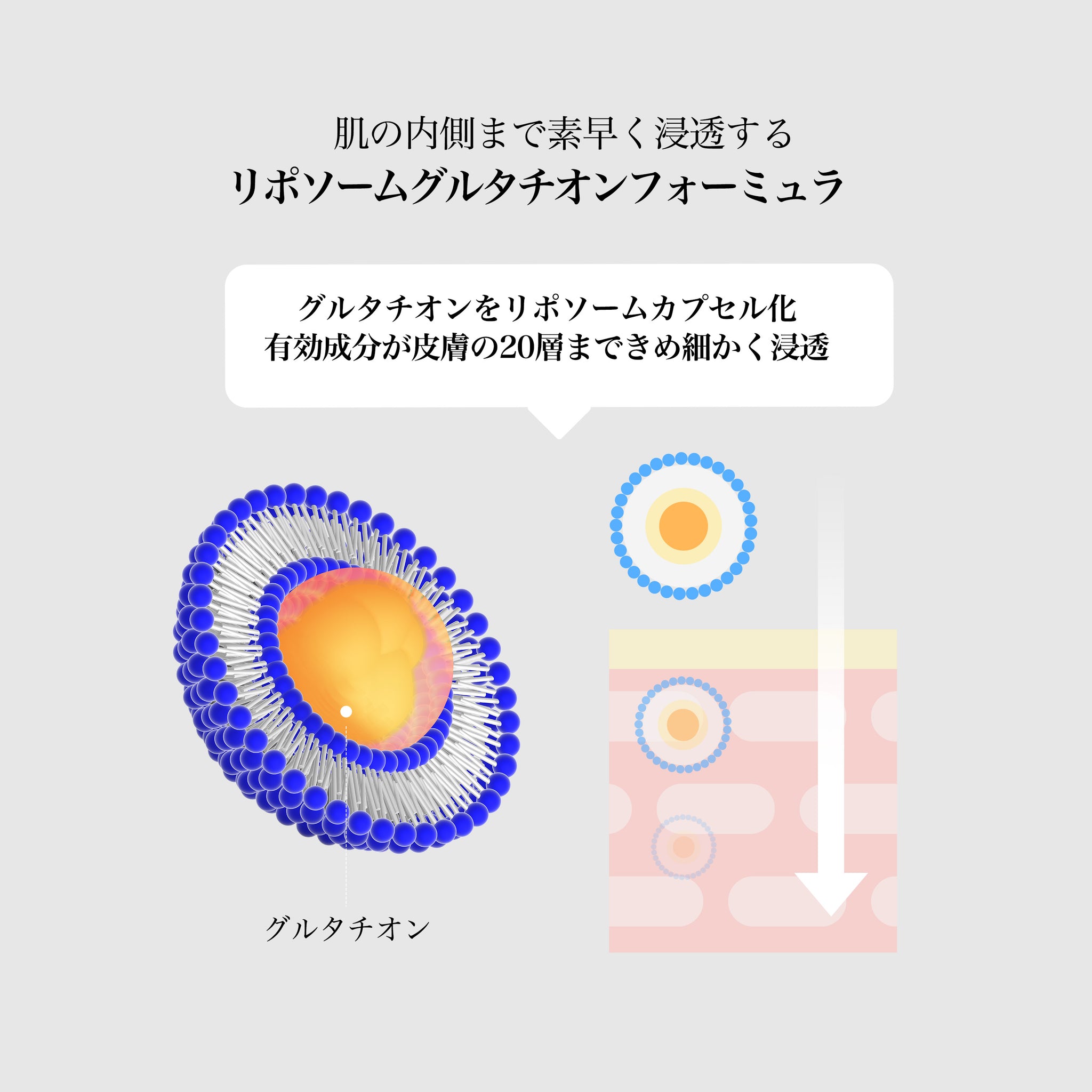 ビタグル10マスク